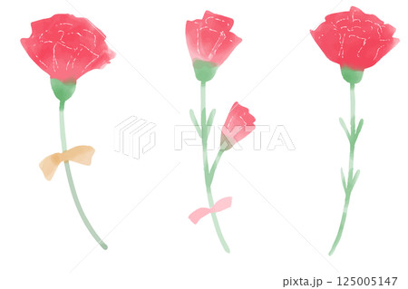 色々なバリエーションの一輪ずつ独立したカーネーションのイラスト 125005147