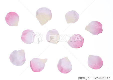 桜の花びらの背景素材 桜の花びらの背景素材 125005237