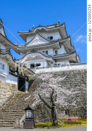 桜と伊賀上野城の風景 三重県伊賀市  125005254