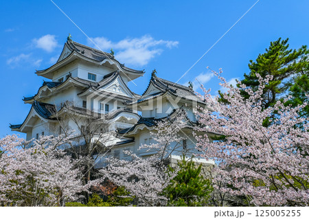 桜と伊賀上野城の風景 三重県伊賀市  125005255