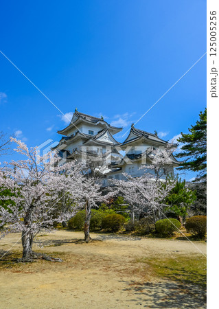 桜と伊賀上野城の風景 三重県伊賀市  125005256