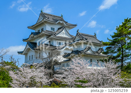 桜と伊賀上野城の風景 三重県伊賀市  125005259