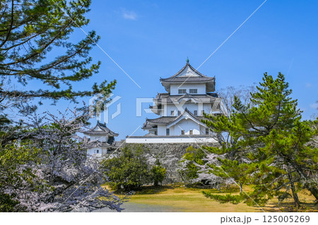 桜と伊賀上野城の風景 三重県伊賀市  125005269
