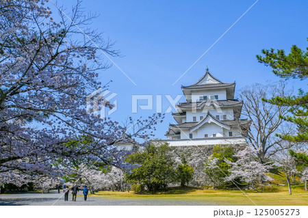 桜と伊賀上野城の風景 三重県伊賀市  125005273