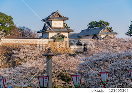(石川県)金沢城 石川門・石川櫓の桜景色 早朝 (石川県)金沢城 石川門・石川櫓の桜景色 早朝 125005365