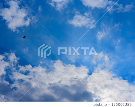 青い空白い雲 青い空白い雲 125005389