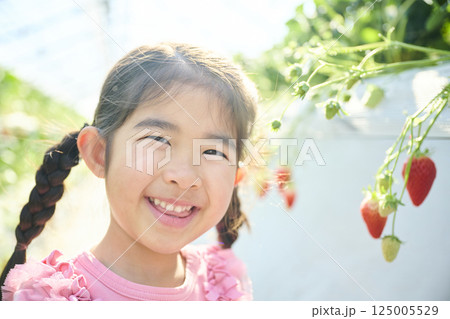 農園でいちご狩りを楽しむ女の子 125005529