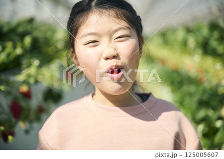 農園でいちご狩りを楽しむ小学生の女の子 125005607