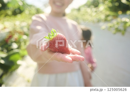 農園でいちご狩りを楽しむ姉妹 125005626