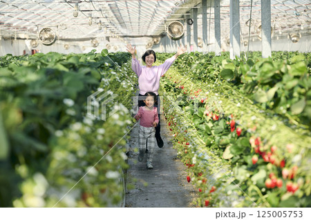 農園でいちご狩りを楽しむ親子 125005753