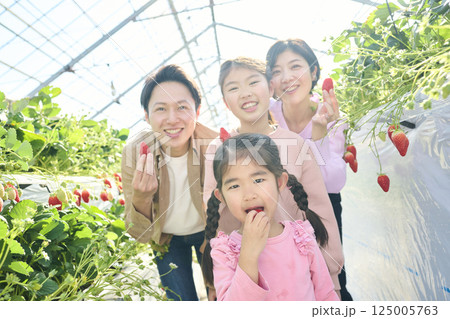 農園でいちご狩りを楽しむ4人家族 125005763