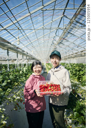 ビニールハウスで収穫したいちごを持つ農家の夫婦 ビニールハウスで収穫したいちごを持つ農家の夫婦 125005954