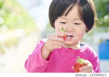 農園でいちご狩りを楽しむ女の子 125006023