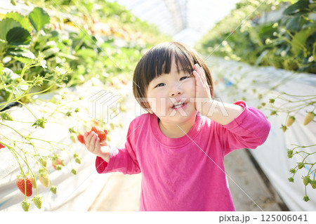 農園でいちご狩りを楽しむ女の子 125006041