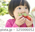 農園でいちご狩りを楽しむ女の子 125006052