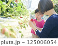 農園でいちご狩りを楽しむ親子 125006054