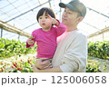 娘を抱いてビニールハウスで作業をするいちご農家の男性 125006058