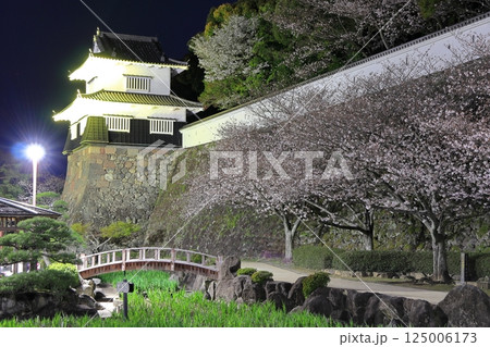 【長崎県】大村公園の板敷櫓と満開の夜桜(玖島城) 【長崎県】大村公園の板敷櫓と満開の夜桜(玖島城) 125006173