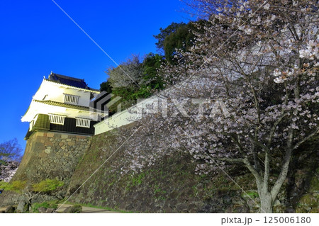 【長崎県】大村公園の板敷櫓と満開の夜桜(玖島城) 【長崎県】大村公園の板敷櫓と満開の夜桜(玖島城) 125006180