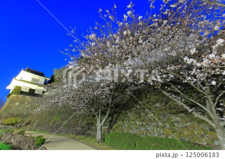 【長崎県】大村公園の板敷櫓と満開の夜桜(玖島城) 【長崎県】大村公園の板敷櫓と満開の夜桜(玖島城) 125006183