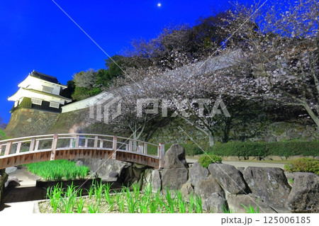 【長崎県】大村公園の板敷櫓と満開の夜桜（玖島城） 125006185
