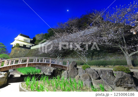 【長崎県】大村公園の板敷櫓と満開の夜桜（玖島城） 125006186