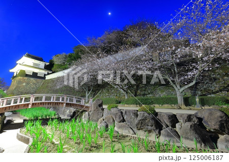 【長崎県】大村公園の板敷櫓と満開の夜桜（玖島城） 125006187