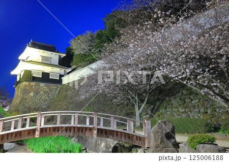 【長崎県】大村公園の板敷櫓と満開の夜桜（玖島城） 125006188