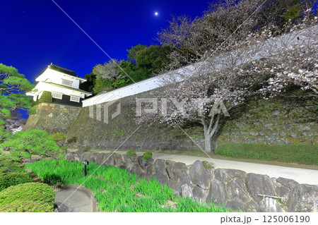 【長崎県】大村公園の板敷櫓と満開の夜桜(玖島城) 【長崎県】大村公園の板敷櫓と満開の夜桜(玖島城) 125006190