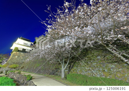 【長崎県】大村公園の板敷櫓と満開の夜桜(玖島城) 【長崎県】大村公園の板敷櫓と満開の夜桜(玖島城) 125006191