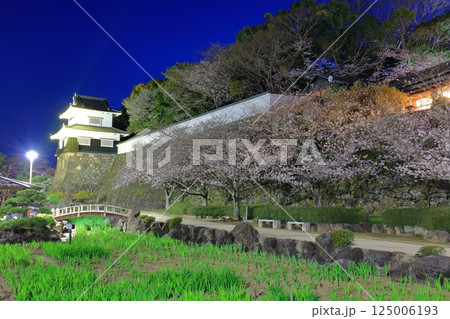 【長崎県】大村公園の板敷櫓と満開の夜桜（玖島城） 125006193