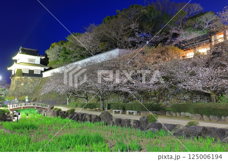 【長崎県】大村公園の板敷櫓と満開の夜桜（玖島城） 125006194