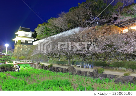【長崎県】大村公園の板敷櫓と満開の夜桜（玖島城） 125006196