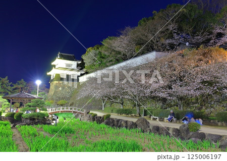 【長崎県】大村公園の板敷櫓と満開の夜桜（玖島城） 125006197