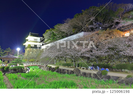 【長崎県】大村公園の板敷櫓と満開の夜桜(玖島城) 【長崎県】大村公園の板敷櫓と満開の夜桜(玖島城) 125006198