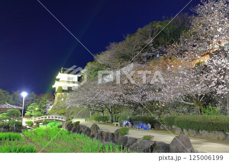 【長崎県】大村公園の板敷櫓と満開の夜桜(玖島城) 【長崎県】大村公園の板敷櫓と満開の夜桜(玖島城) 125006199