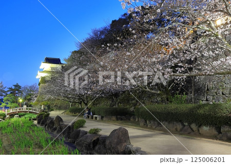 【長崎県】大村公園の板敷櫓と満開の夜桜(玖島城) 【長崎県】大村公園の板敷櫓と満開の夜桜(玖島城) 125006201