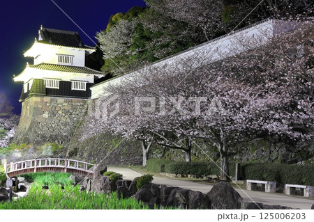 【長崎県】大村公園の板敷櫓と満開の夜桜（玖島城） 125006203