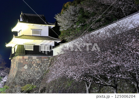 【長崎県】大村公園の板敷櫓と満開の夜桜（玖島城） 125006204