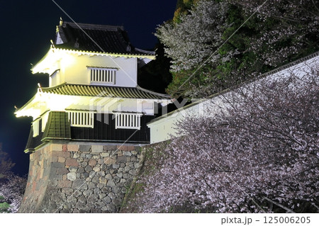 【長崎県】大村公園の板敷櫓と満開の夜桜（玖島城） 125006205