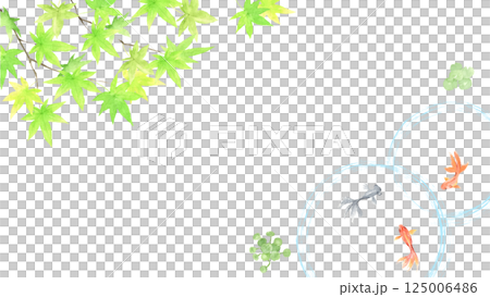 水彩で描いた泳ぐ金魚と青もみじの背景 125006486