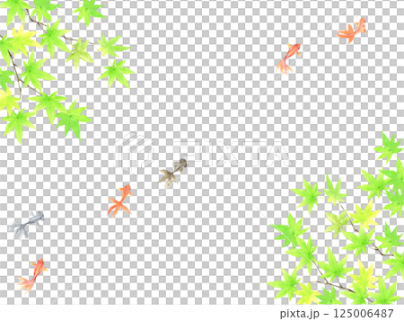 Watercolor goldfish swimming and green maple background 125006487