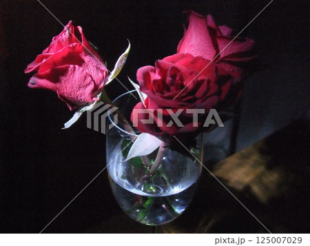 Red roses are gracefully arranged in a glass vase filled with water, basking in soft light that highlights their petals. The ambiance is intimate and tranquil, perfect for relaxation. 125007029