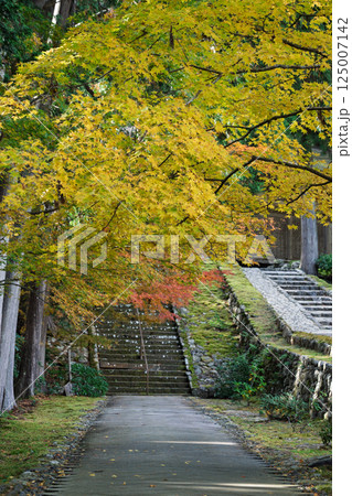 福井県若狭小浜市の紅葉まっさかりの明通寺を撮影 125007142