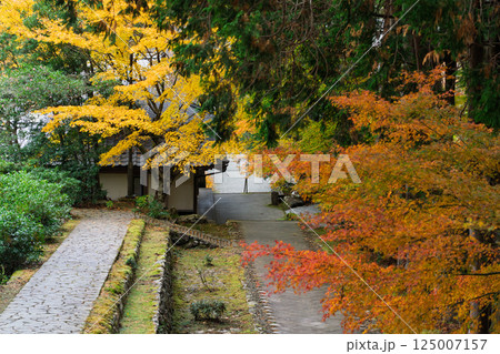 福井県若狭小浜市の紅葉まっさかりの明通寺を撮影 125007157