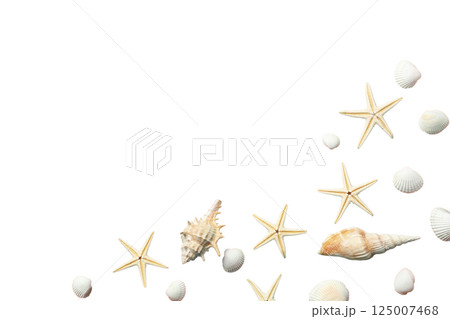 Seashells and starfish arranged beautifully, evoking summer vibes, isolated on white 125007468