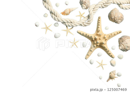 Shells and a starfish with rope evoke a beach vibe, isolated on white Shells and a starfish with rope evoke a beach vibe, isolated on white 125007469