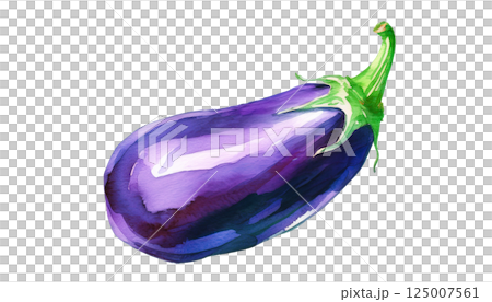 なすび、茄子の水彩イラスト(JPEG/PNG) なすび、茄子の水彩イラスト(JPEG/PNG) 125007561