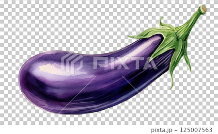 茄子，水彩插畫（JPEG/PNG） 125007563