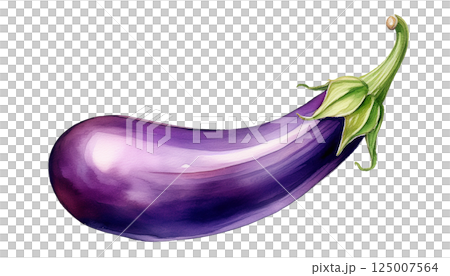 茄子，水彩插畫（JPEG/PNG） 125007564